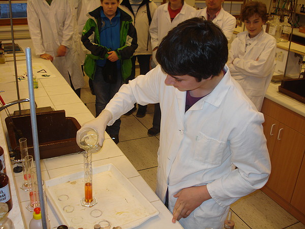 DOD 2010 na GOB a SOŠ v Telči